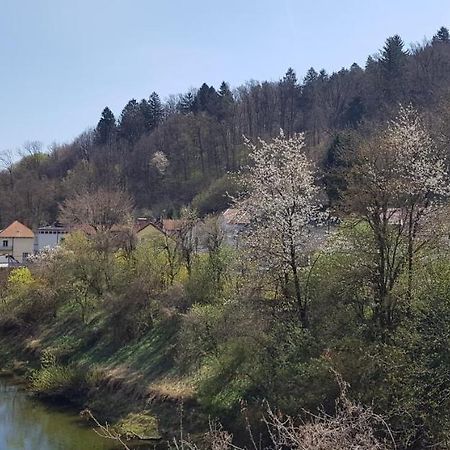 Park Apartman Ljubljana Kültér fotó