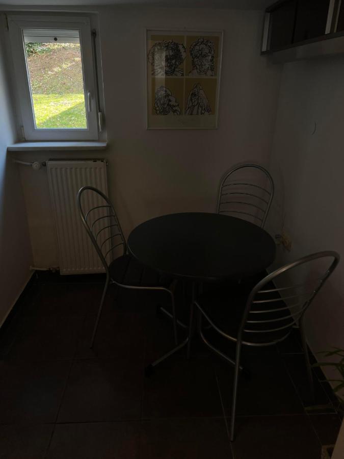 Park Apartman Ljubljana Kültér fotó